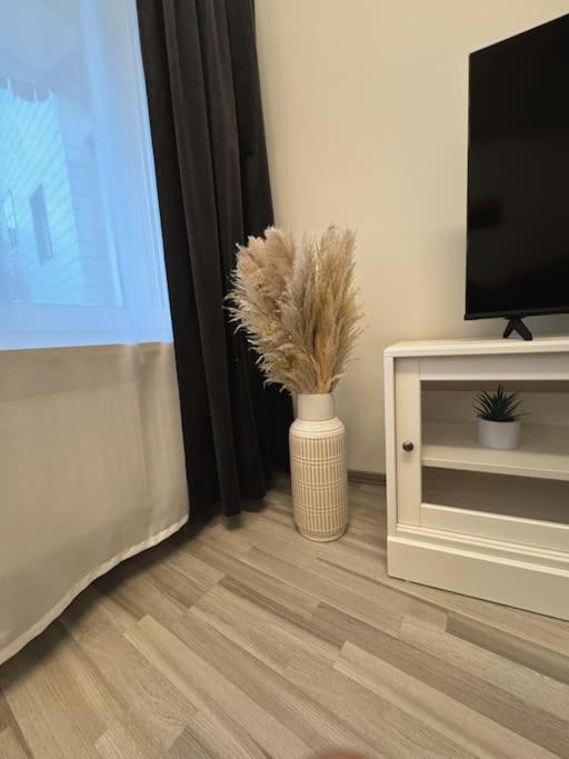 Gemuetliche Unterkunft Bad Steben - Ferienhaus Maria Extérieur photo